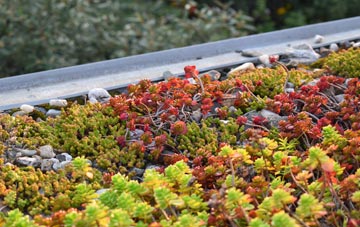the cost of Tarrant Gunville green roof installation