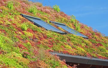 Tarrant Gunville living roof systems