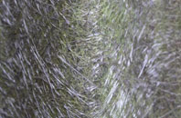 Tarrant Gunville fibreglass roof work